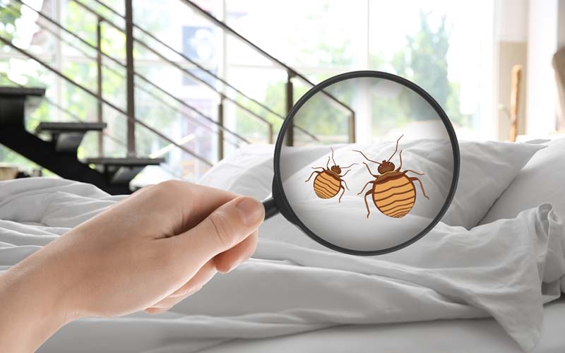 carpet cleaning in NYC, carpet cleaning in NYC, carpet cleaning NYC, carpet cleaners in NYC, carpet cleaners in NYC, commercial carpet cleaning, commercial carpet cleaning in NYC, NYC rug cleaners, rug cleaning services in NYC, same day carpet cleaning, same day rug cleaning