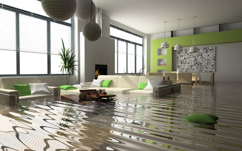 carpet cleaning in NYC, carpet cleaning in NYC, carpet cleaning NYC, carpet cleaners in NYC, carpet cleaners in NYC, commercial carpet cleaning, commercial carpet cleaning in NYC, NYC rug cleaners, rug cleaning services in NYC, same day carpet cleaning, same day rug cleaning